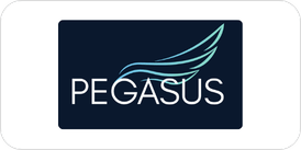 Pegasus Strategy Co. logo