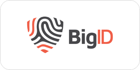 bigid logo-2